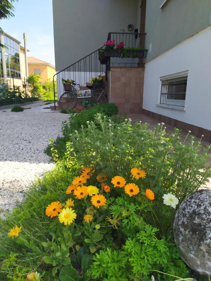 Casa Vacanze I Giardini di Marzo San Giorgio di Mantova Esterno foto